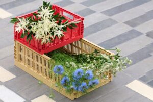 Hay Colour Crate
