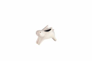 Rabbit child