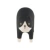 Tlab-polepole-hachiware-Cat-front