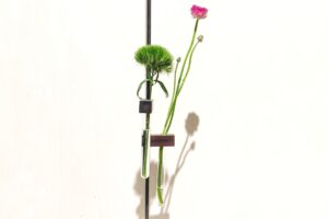 Wooden magnet with vial