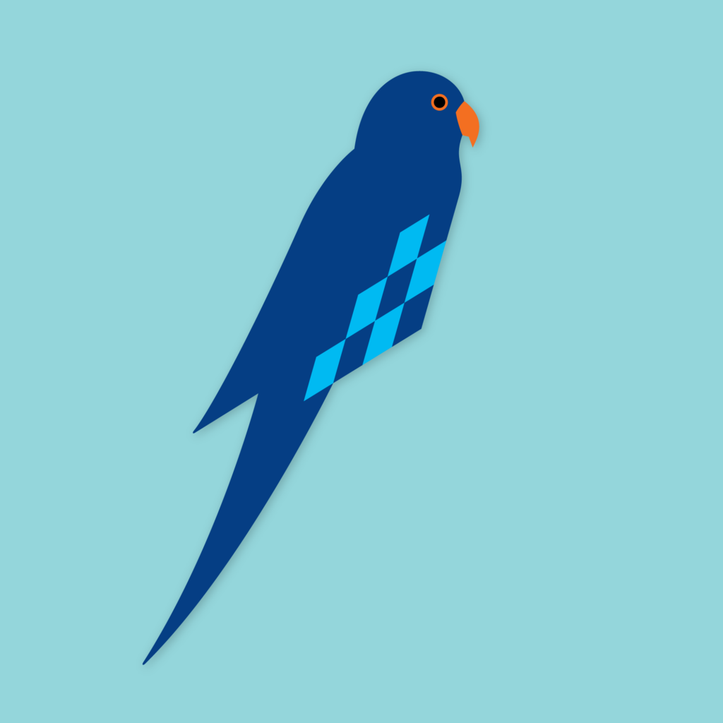 Pappagallo (blu)