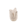 tlab-polepole-sloth-side