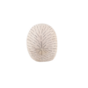 Tlab Pole Pole Riccio - back
