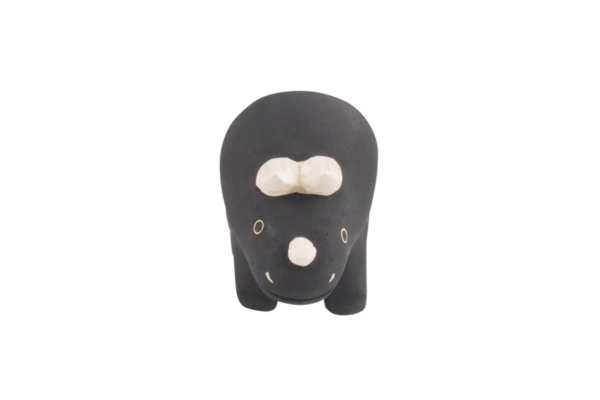 Tlab Pole Pole Triceratopus - front